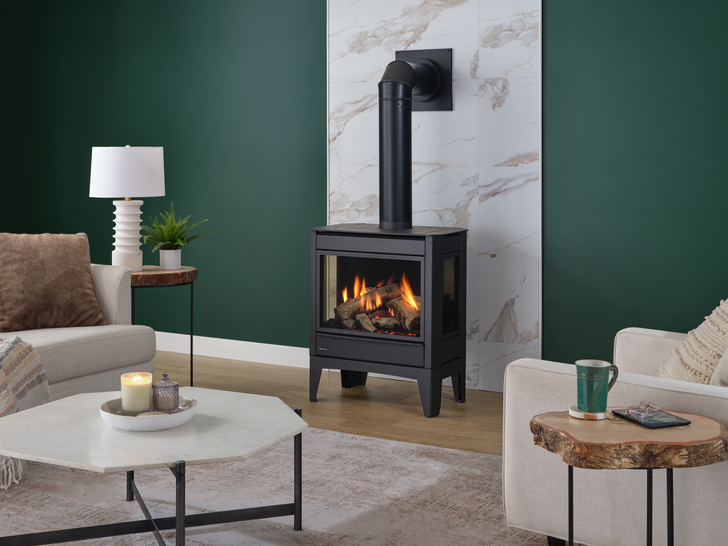 <p>Gas Stoves, Inserts, Fireplaces & Unit Heaters</p>

